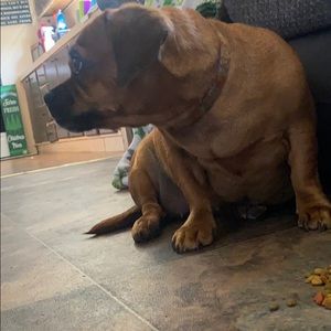 Meet your Posher, Collin